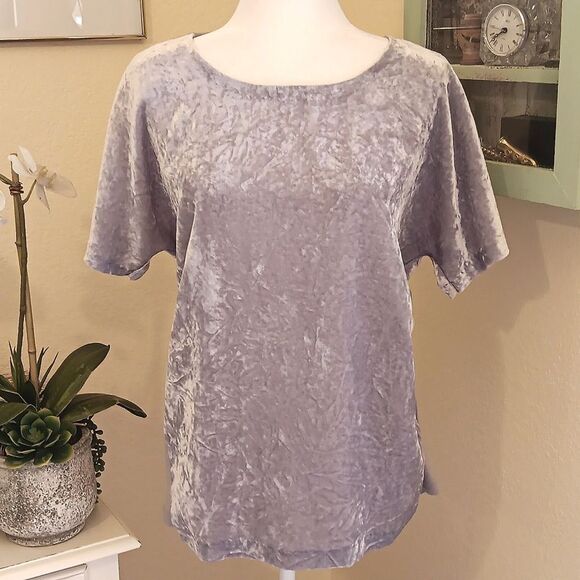 Lucky Brand Shimmering Silver Velvet Blouse - Picture 1 of 10